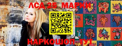 ГАЛЛЮЦИНОГЕННЫЕ ГРИБЫ Берёзовский
