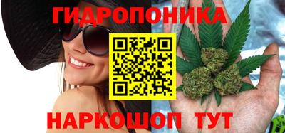 ГАЛЛЮЦИНОГЕННЫЕ ГРИБЫ Берёзовский