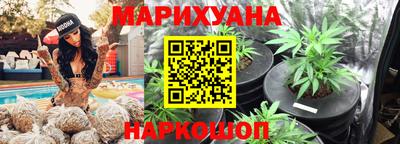 apvp Бийск